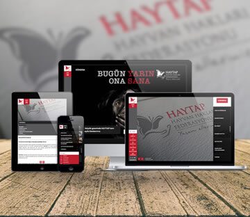 OKUL - DERNEK - VAKIF - HAYTAP Hayvan Hakları Federasyonu