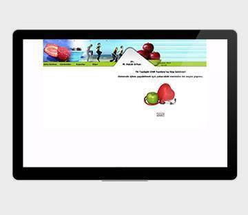 INTRANET - ÖZEL YAZILIMLAR - TAYLIGHT CRM